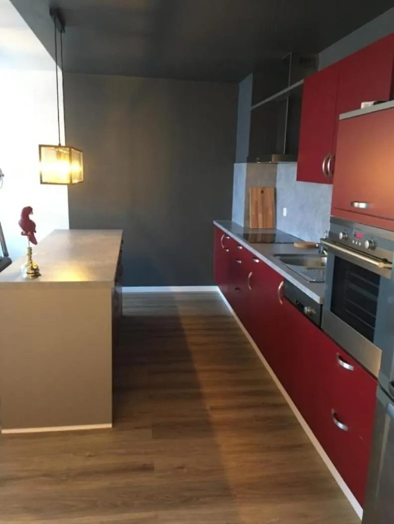 公寓 Spacious Two Bedrooms With Free Parking & Private Terrace-217 卢森堡 卢森堡
